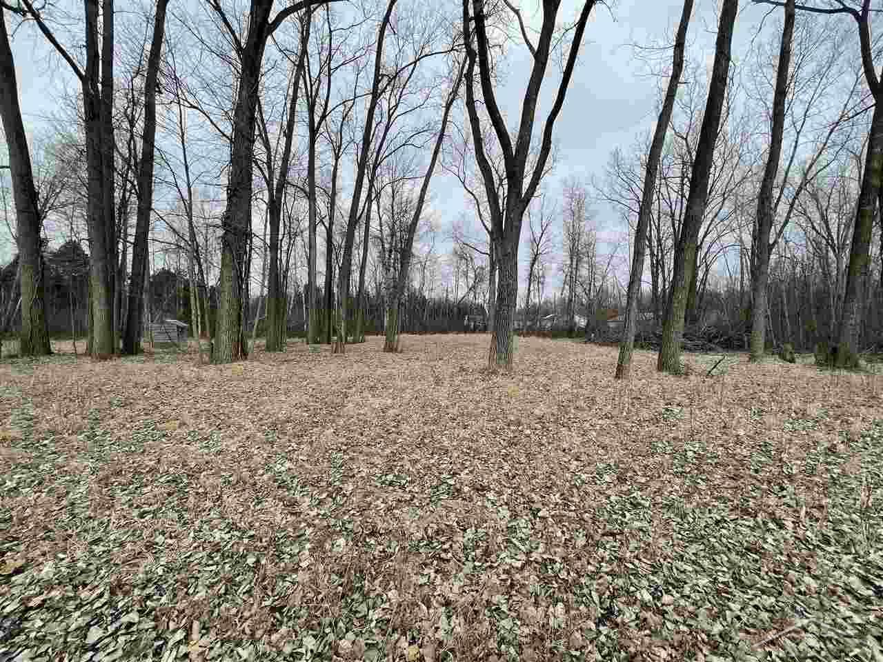 795 South Isabella Road Mount Pleasant, MI 48858 - Photo 10 of 12 Gallery Image 10