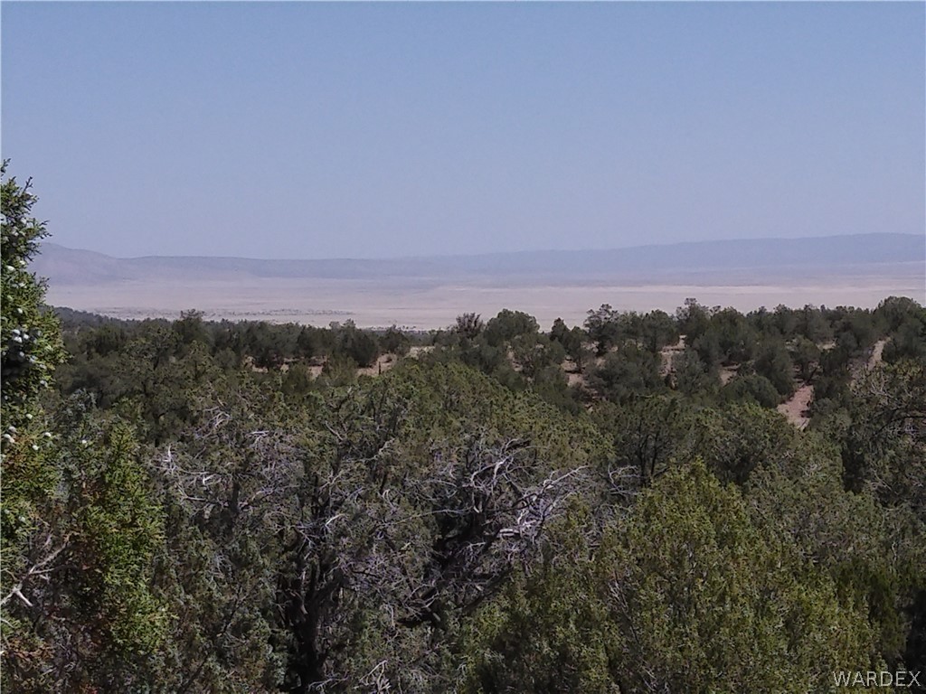 301-31-148 Antelope Run Road Seligman, AZ 86337 - Photo 1 of 8
