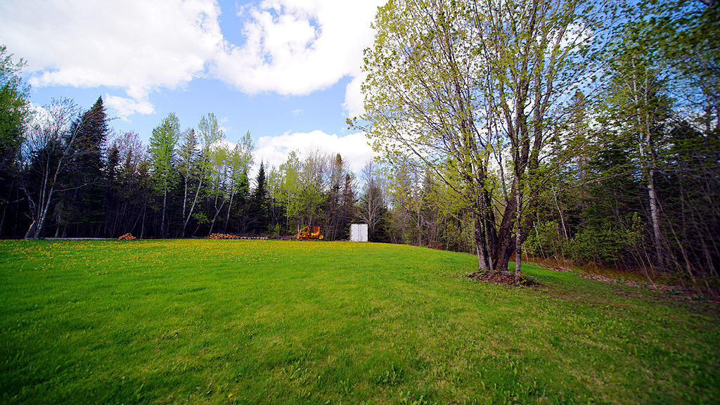 Lot 29-30 County Road New Limerick, ME 04761 - Photo 13 of 16 land-botting-new-limerick_2