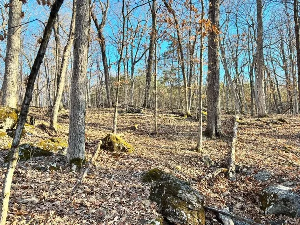 $439,158 | 0 Dover Drive, Holts Summit, MO 65043