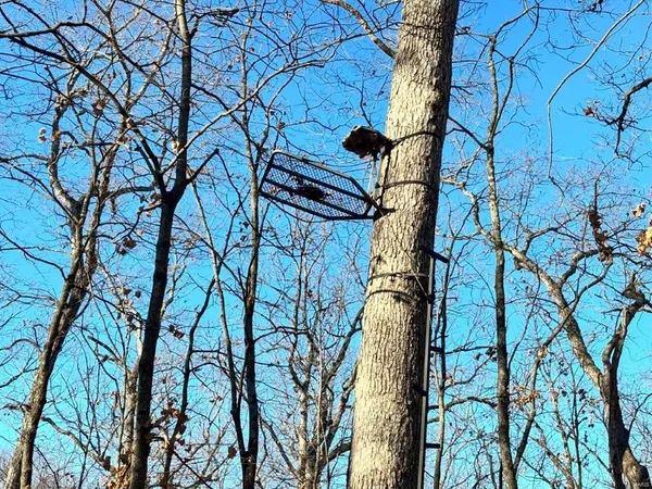 $439,158 | 0 Dover Drive, Holts Summit, MO 65043