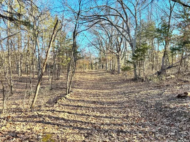 $439,158 | 0 Dover Drive, Holts Summit, MO 65043