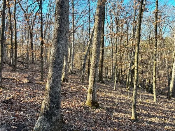 $439,158 | 0 Dover Drive, Holts Summit, MO 65043