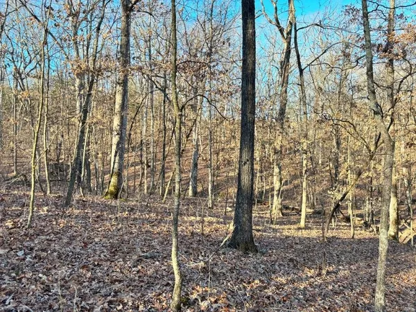 $439,158 | 0 Dover Drive, Holts Summit, MO 65043