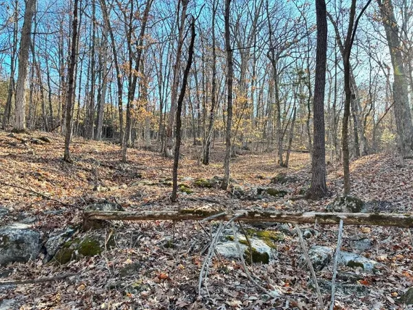 $439,158 | 0 Dover Drive, Holts Summit, MO 65043