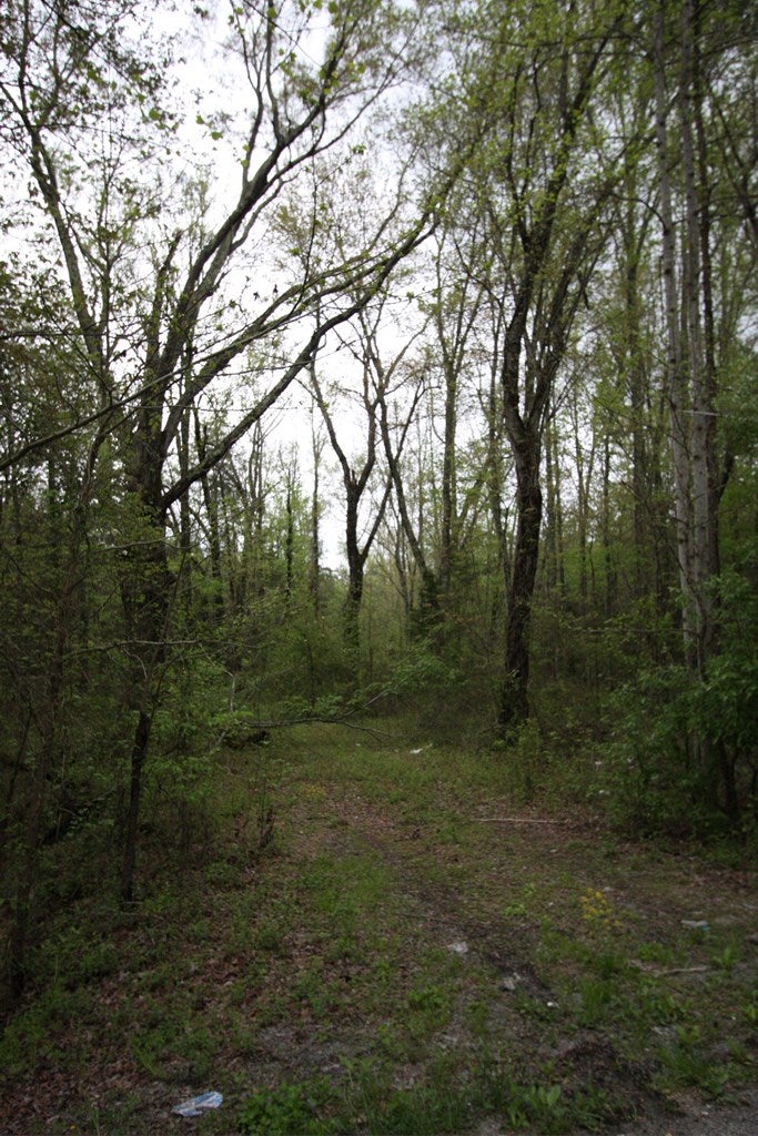 Jennings Road Cartersville, VA 23027 - Photo 10 of 12 Gallery Image 10