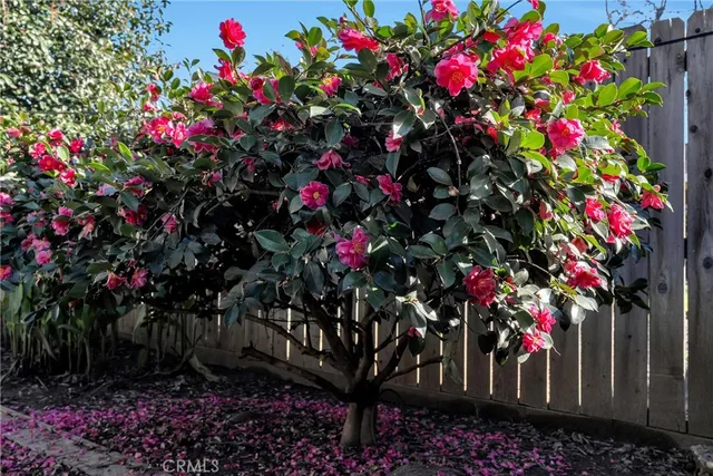 $385,000 | 467 East 8th Avenue, Chico, CA 95926