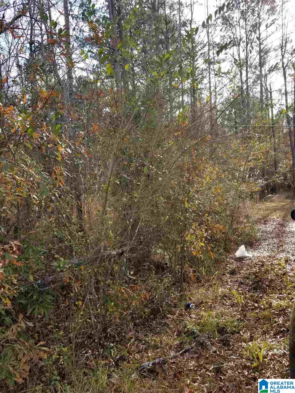 0 Old Creek Road, Unit 1 Ohatchee, AL 36271 - Photo 7 of 8