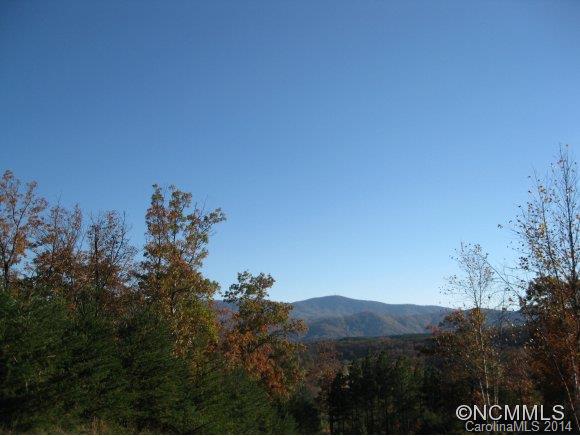 0 Deep Gap Farm Road East Mill Spring, NC 28756 - Photo 1 of 5