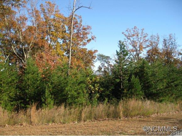 0 Deep Gap Farm Road East Mill Spring, NC 28756 - Photo 3 of 5