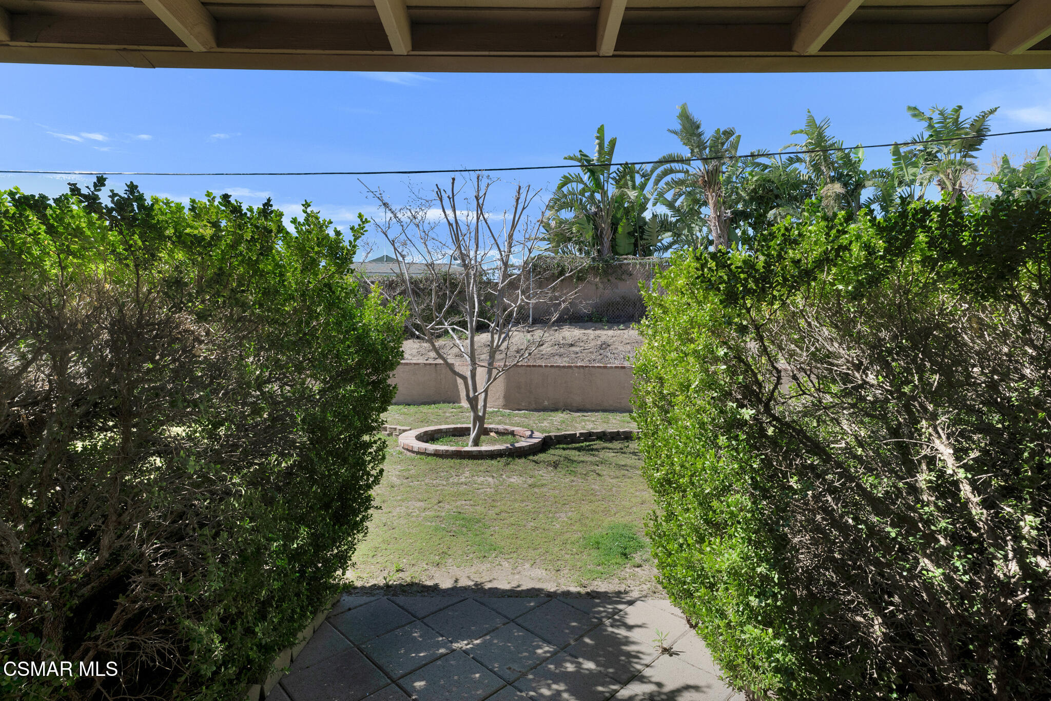 3493 Amarillo Avenue Simi Valley, CA 93063 - Photo 34 of 49 a view of a backyard with plants