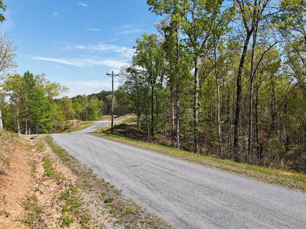 Lot 20 Blalock Mountain Road Talking Rock, GA 30175 - Photo 12 of 29