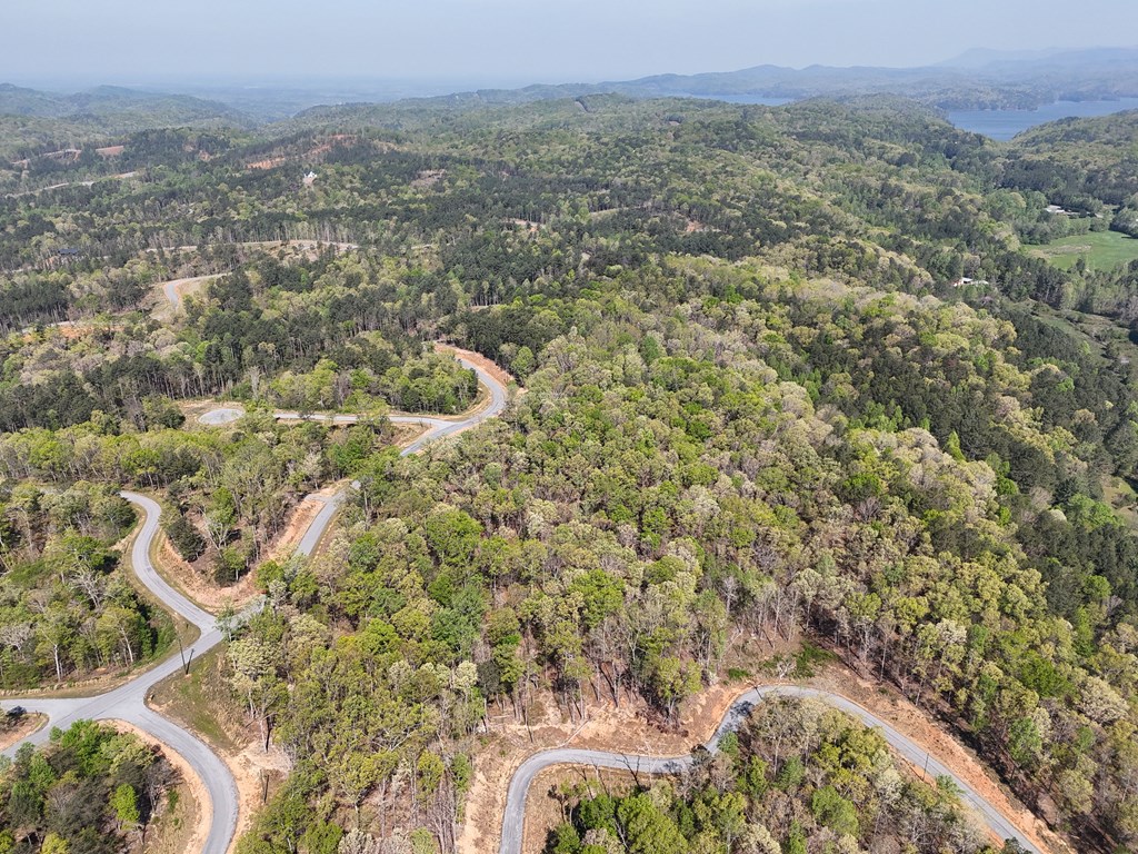 Lot 20 Blalock Mountain Road Talking Rock, GA 30175 - Photo 15 of 29 view of a city with mountain