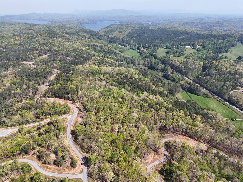 Lot 20 Blalock Mountain Road Talking Rock, GA 30175 - Photo 16 of 29 view of a city with lush green forest