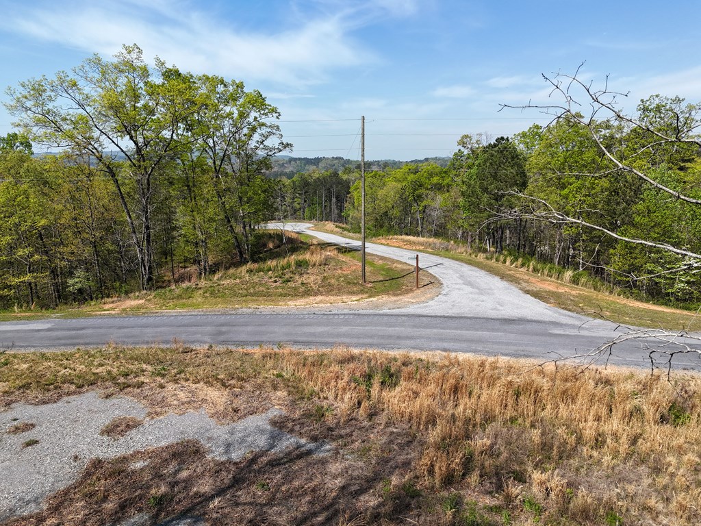 Lot 20 Blalock Mountain Road Talking Rock, GA 30175 - Photo 17 of 29 a view of a yard with an trees