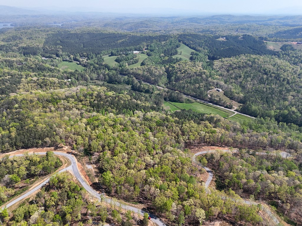 Lot 20 Blalock Mountain Road Talking Rock, GA 30175 - Photo 18 of 29 an aerial view of residential house with green space