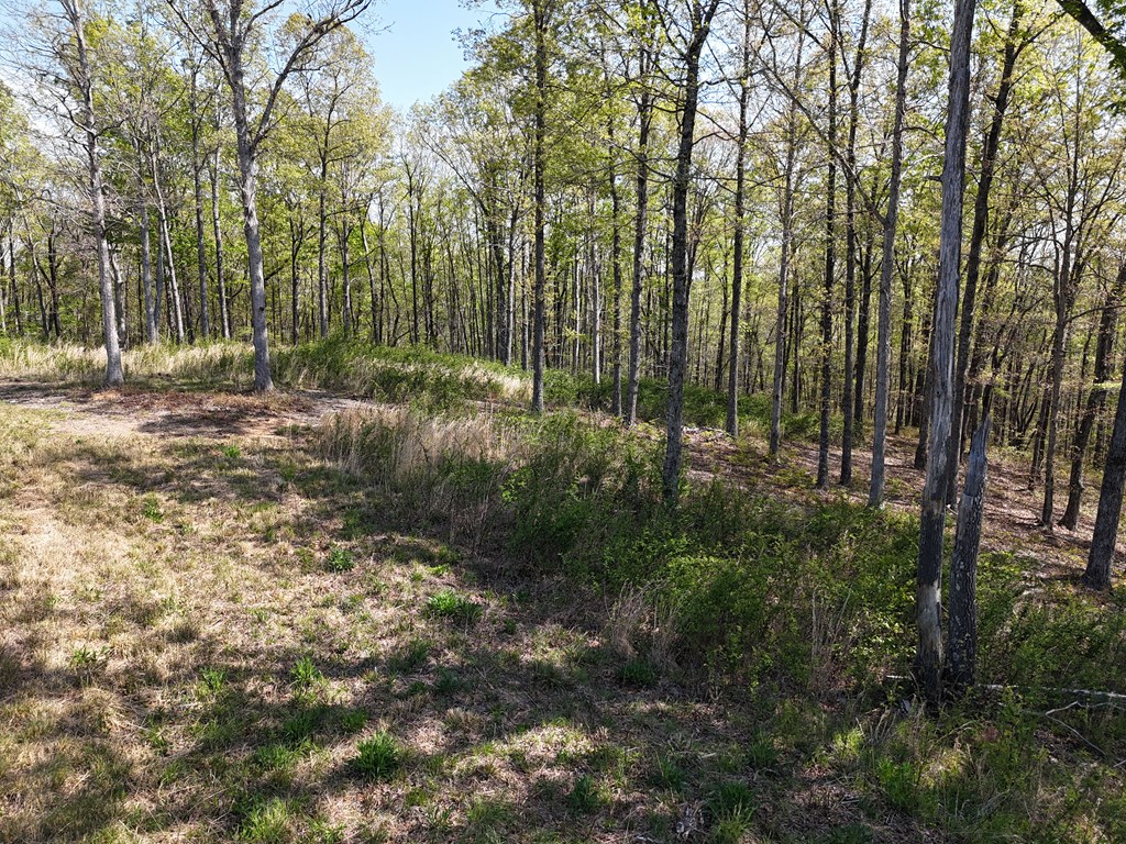 Lot 20 Blalock Mountain Road Talking Rock, GA 30175 - Photo 19 of 29 a view of outdoor space and garden