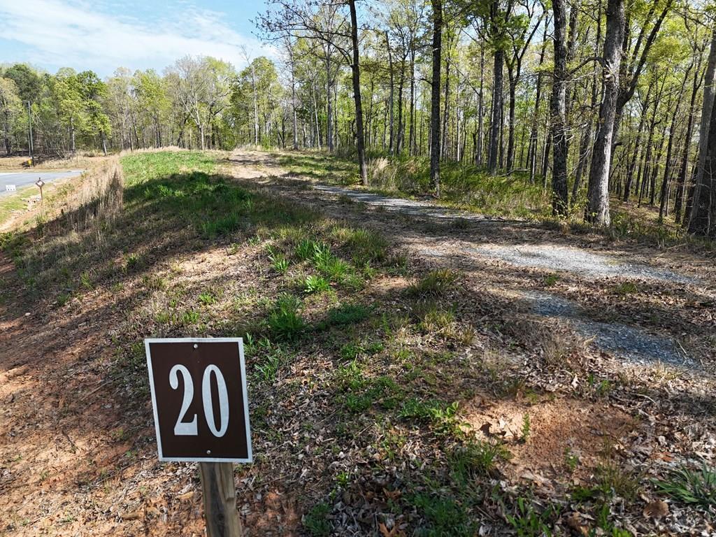 Lot 20 Blalock Mountain Road Talking Rock, GA 30175 - Photo 2 of 29 a view of forest