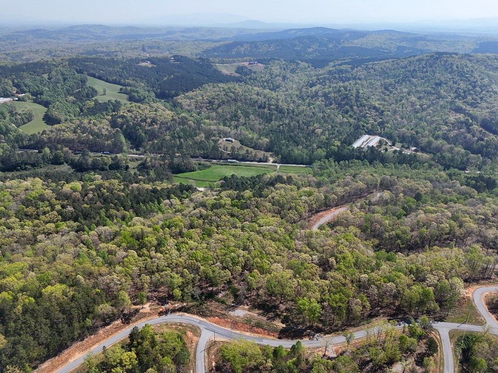 Lot 20 Blalock Mountain Road Talking Rock, GA 30175 - Photo 22 of 29 an aerial view of residential house and outdoor space