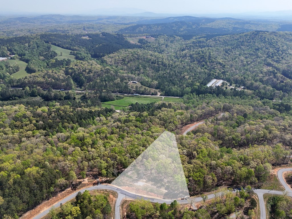 Lot 20 Blalock Mountain Road Talking Rock, GA 30175 - Photo 23 of 29 an aerial view of residential house with outdoor space
