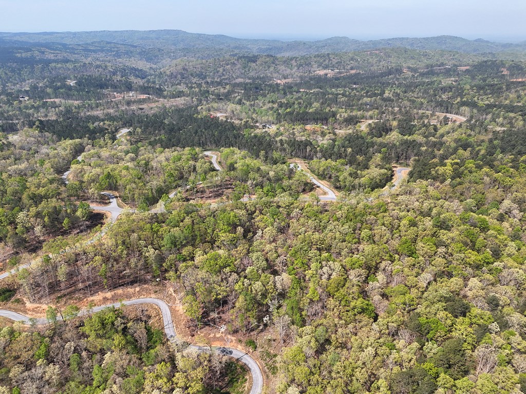 Lot 20 Blalock Mountain Road Talking Rock, GA 30175 - Photo 25 of 29 a view of a city with green field and mountains in the background