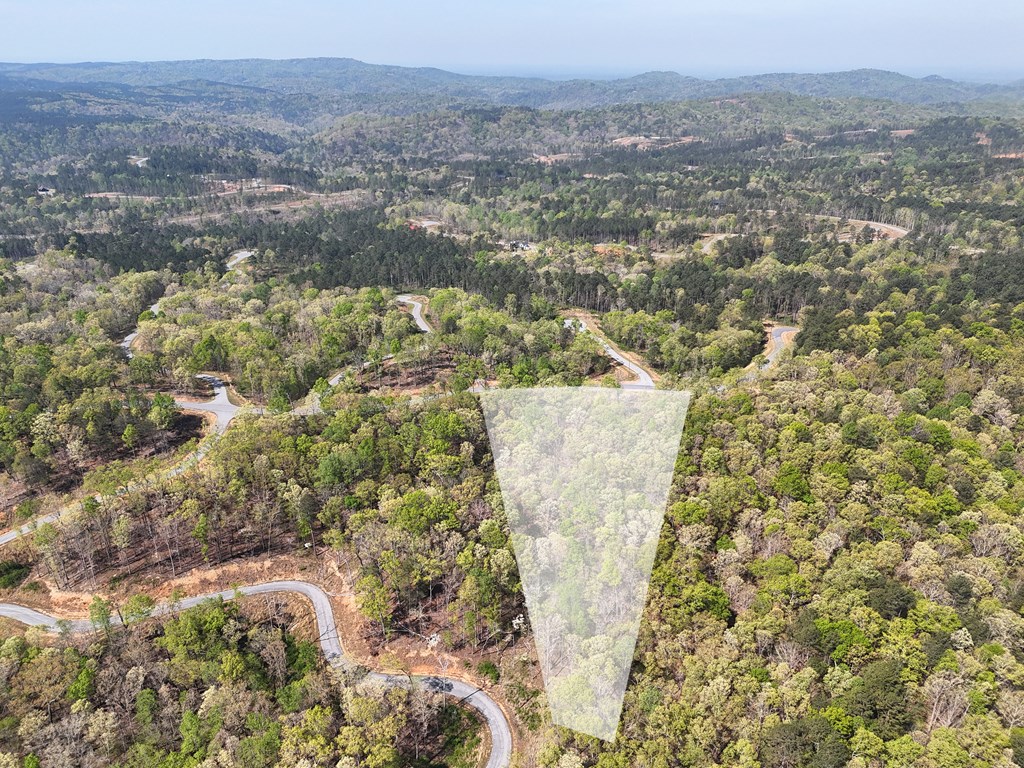 Lot 20 Blalock Mountain Road Talking Rock, GA 30175 - Photo 26 of 29 a view of a city