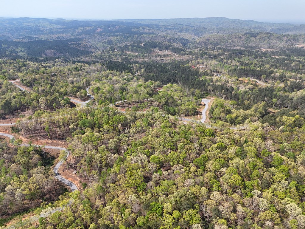 Lot 20 Blalock Mountain Road Talking Rock, GA 30175 - Photo 27 of 29 a view of city and mountain