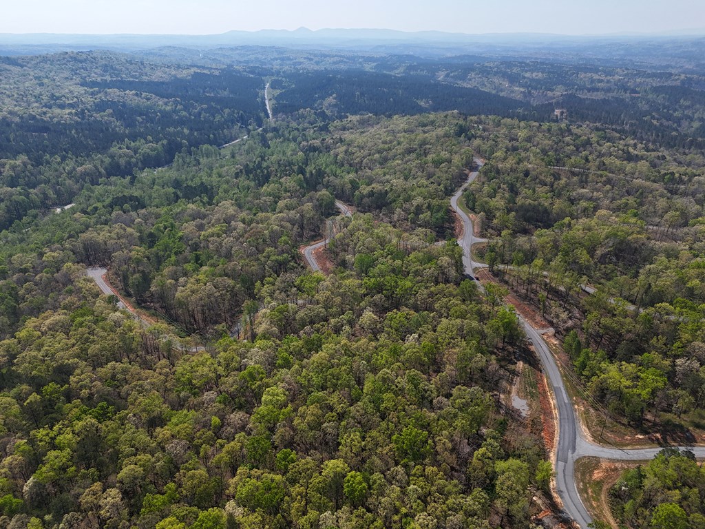 Lot 20 Blalock Mountain Road Talking Rock, GA 30175 - Photo 28 of 29 a view of a forest with a street