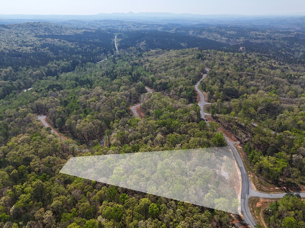 Lot 20 Blalock Mountain Road Talking Rock, GA 30175 - Photo 29 of 29 a view of a big yard with green space