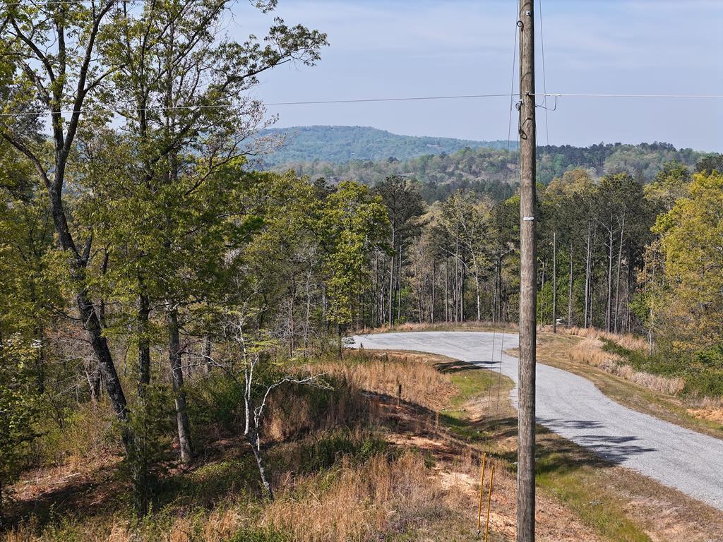 Lot 20 Blalock Mountain Road Talking Rock, GA 30175 - Photo 3 of 29