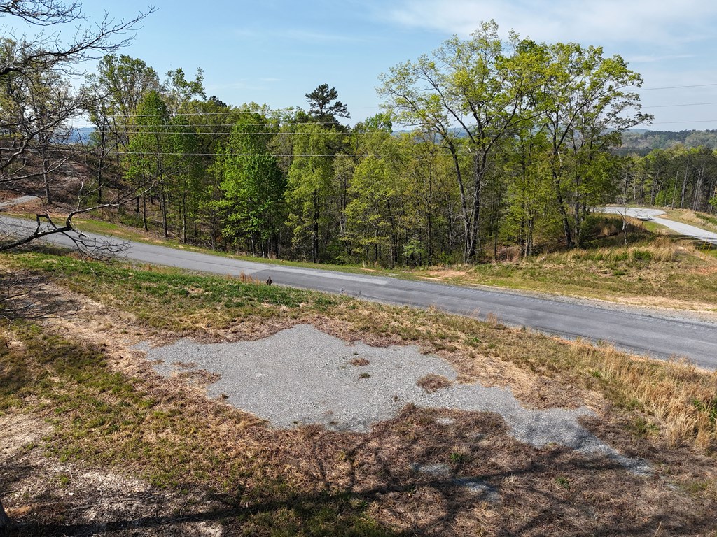 Lot 20 Blalock Mountain Road Talking Rock, GA 30175 - Photo 5 of 29 a view of a yard with trees