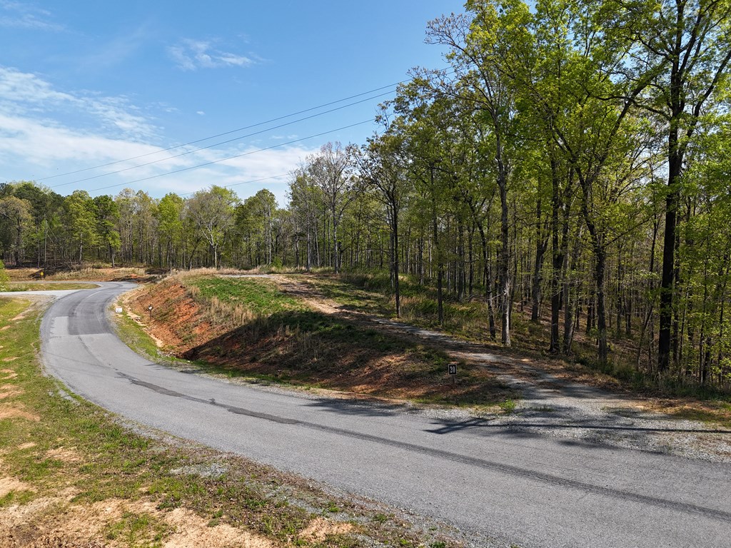 Lot 20 Blalock Mountain Road Talking Rock, GA 30175 - Photo 6 of 29 a view of a backyard of a house