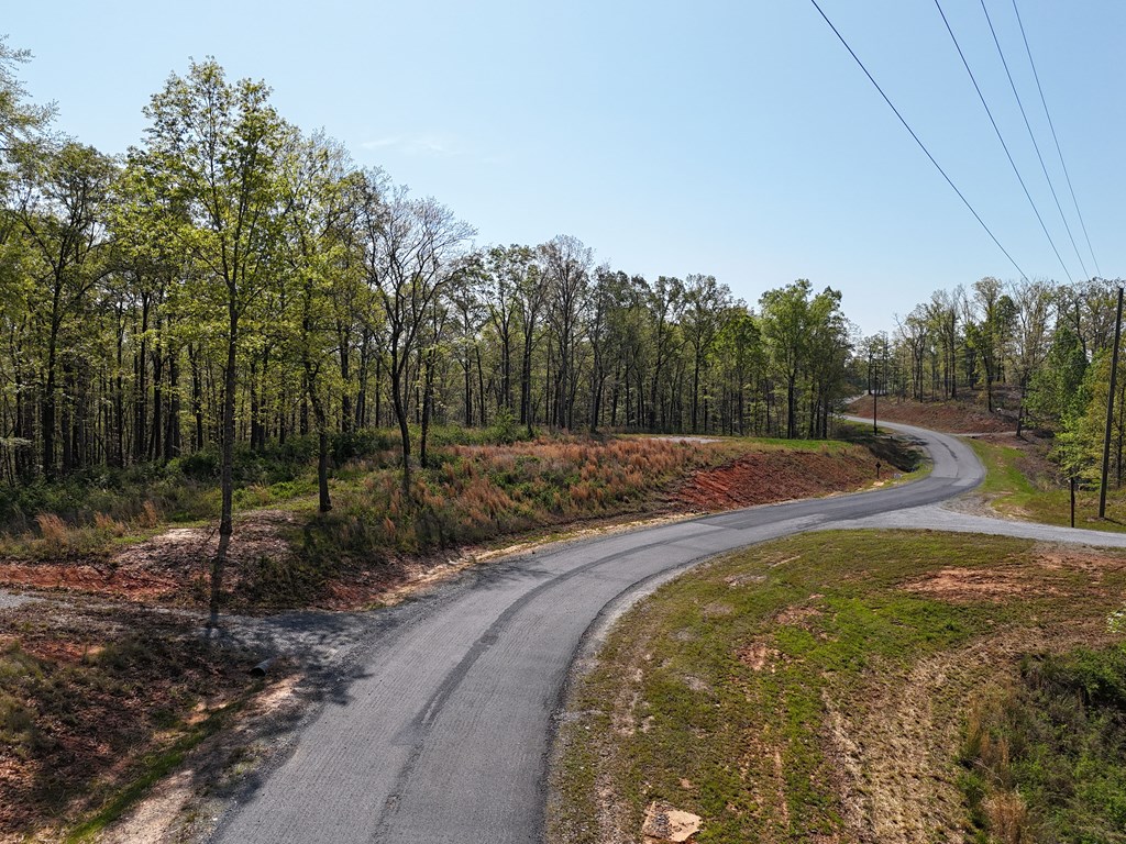 Lot 20 Blalock Mountain Road Talking Rock, GA 30175 - Photo 7 of 29 a view of a backyard