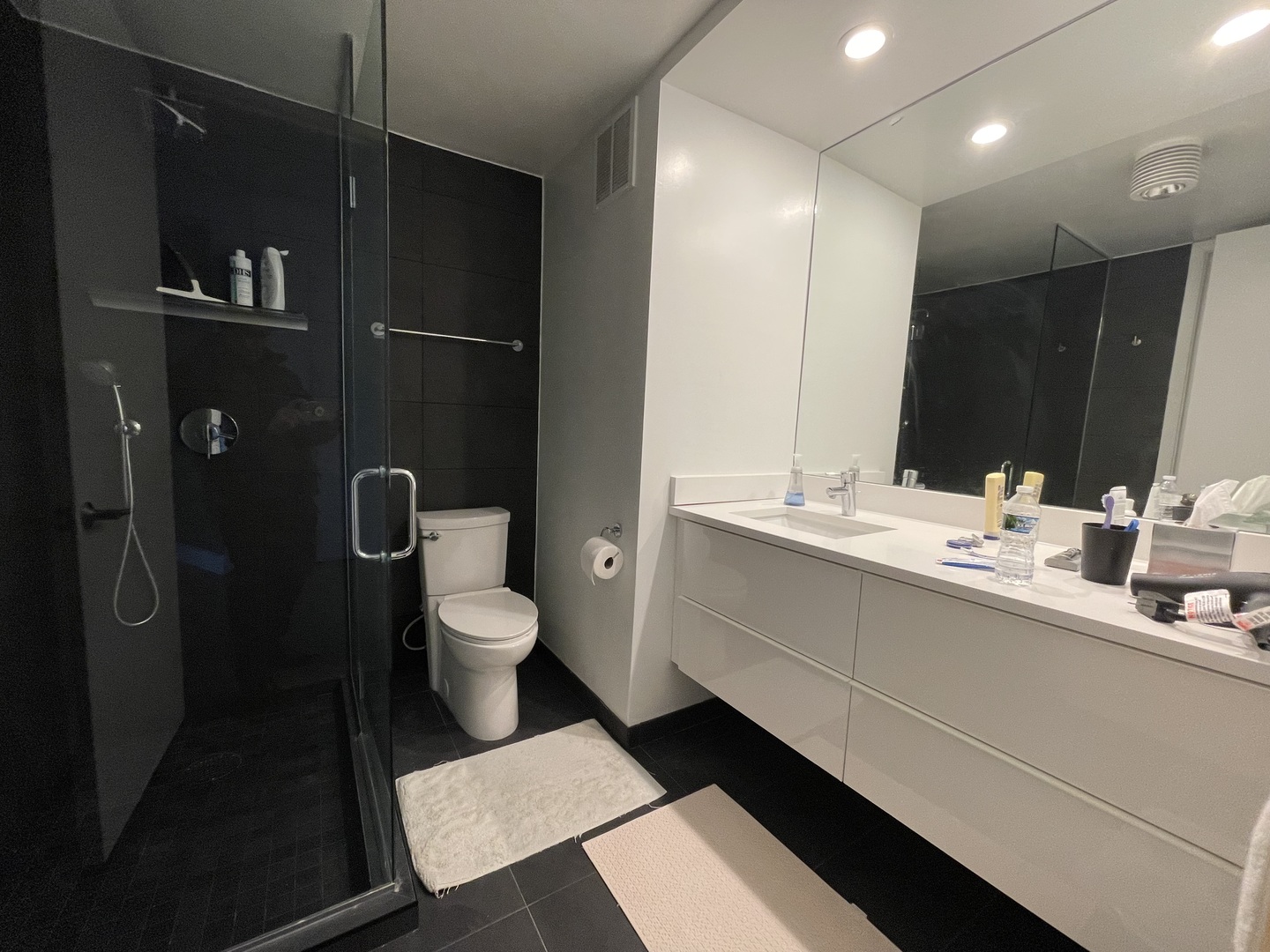 505 North Lake Shore Drive, Unit 5701 Chicago, IL 60611 - Photo 17 of 27 a bathroom with a toilet sink double vanity and mirror