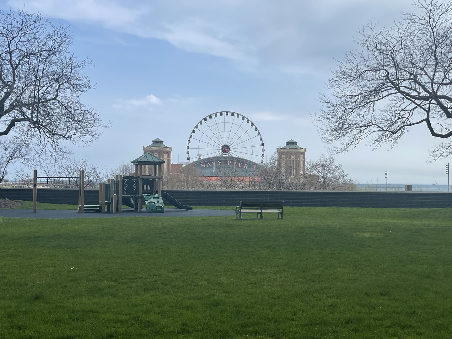 505 North Lake Shore Drive, Unit 5701 Chicago, IL 60611 - Photo 18 of 27 a view of a field with grass and a palm tree