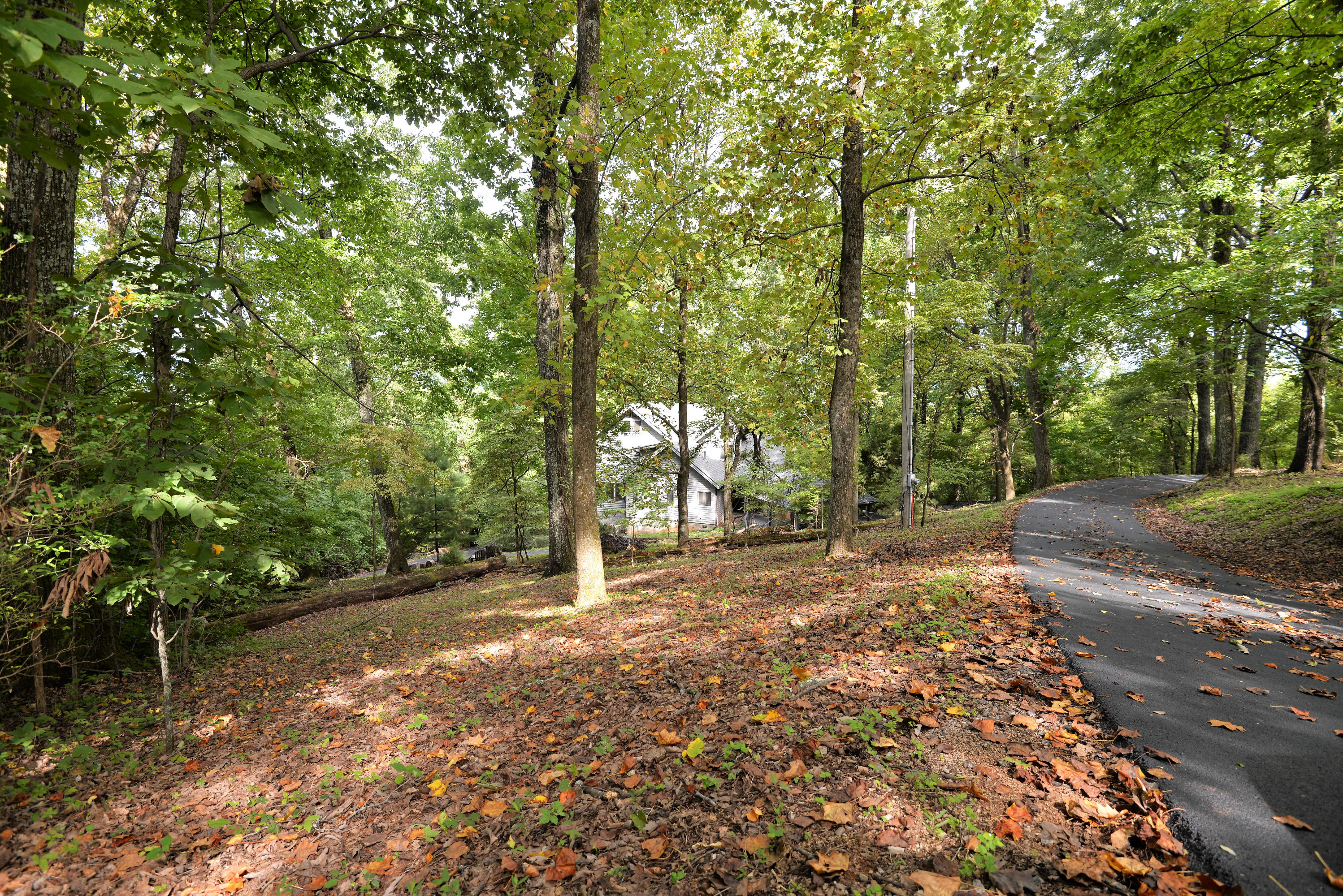 6405 Fairview Road Hixson, TN 37343 - Photo 4 of 40 DSC_3724 (2)