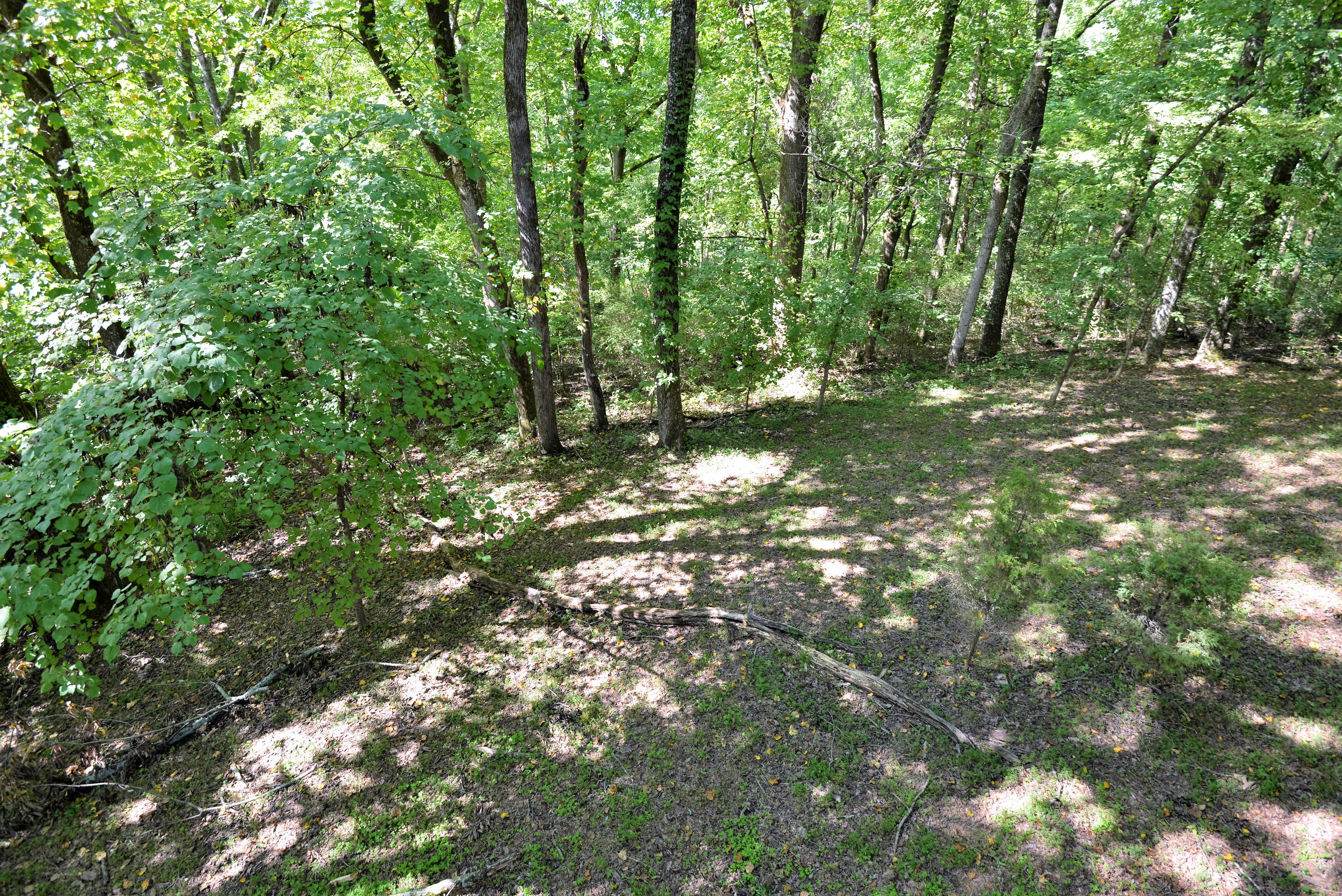 6405 Fairview Road Hixson, TN 37343 - Photo 38 of 40 DSC_3716 (2)