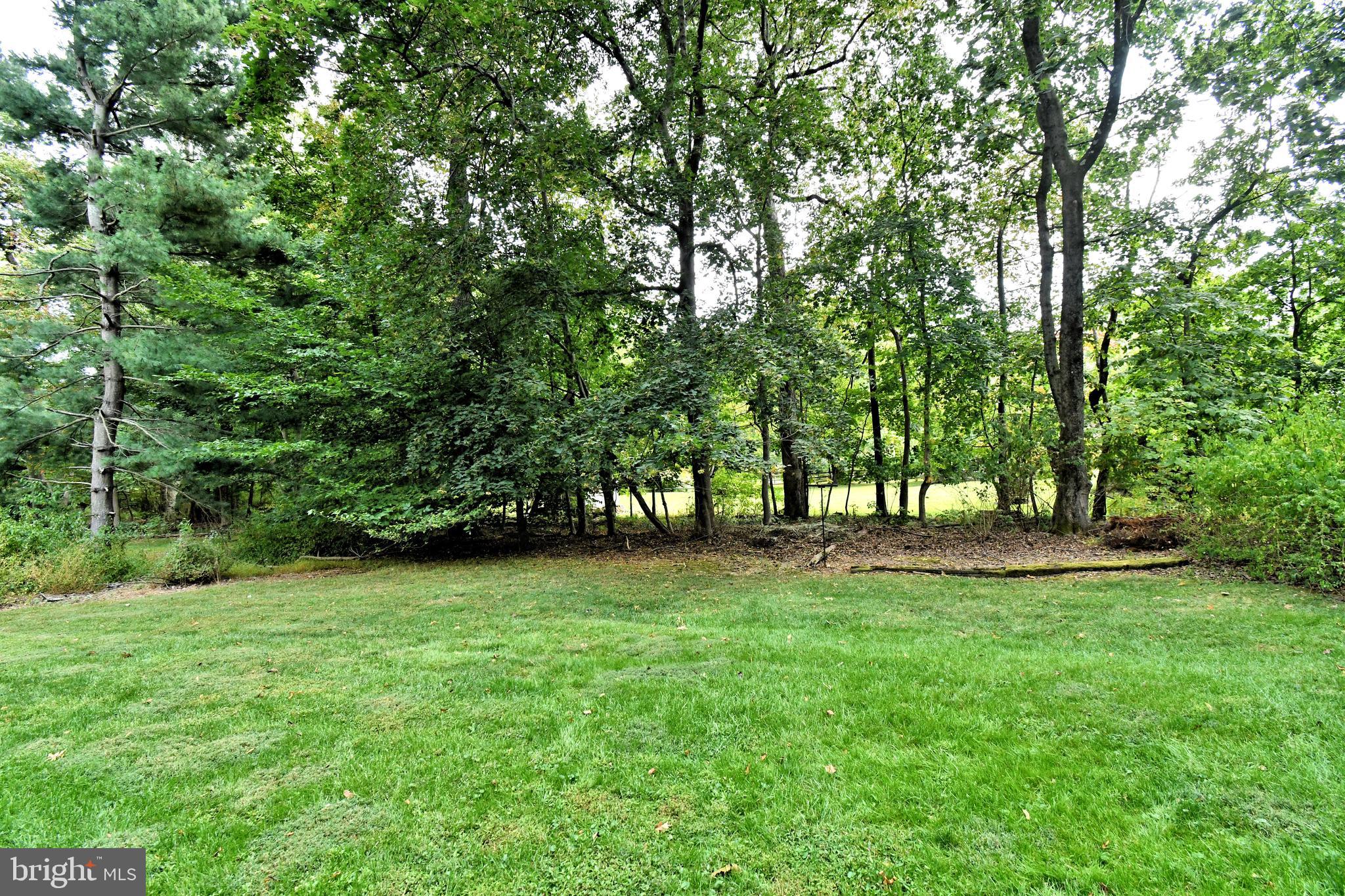 179 Almshouse Road Doylestown, PA 18901 - Photo 56 of 68 a view of a trees in a yard