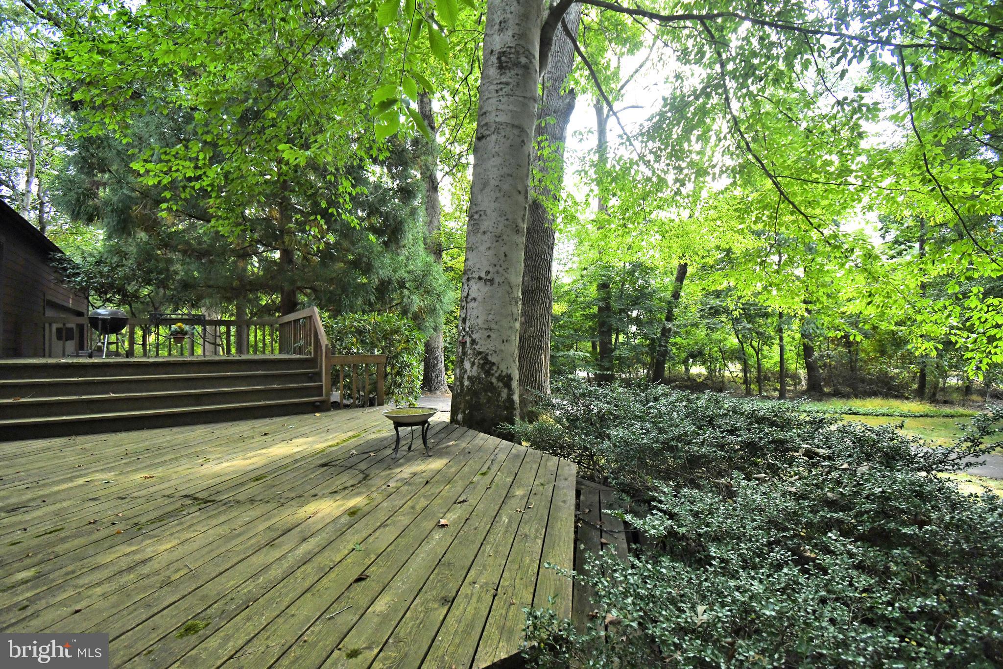 179 Almshouse Road Doylestown, PA 18901 - Photo 68 of 68 a view of backyard with green space