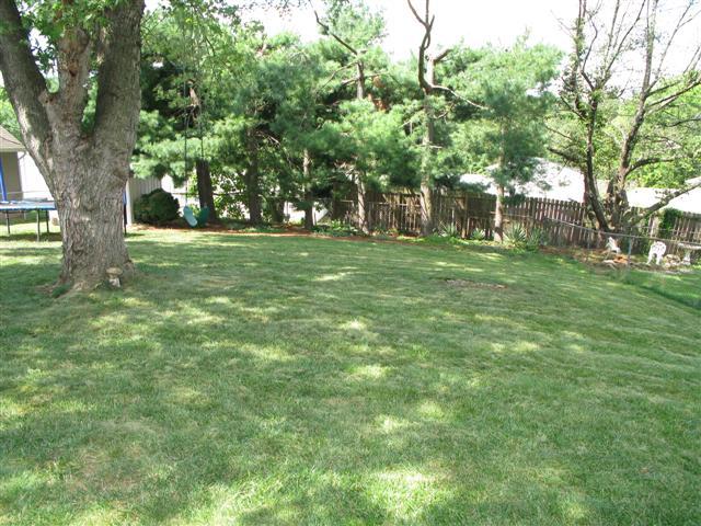 5404 Daytona Road Roanoke, VA 24019 - Photo 10 of 13 Backyard