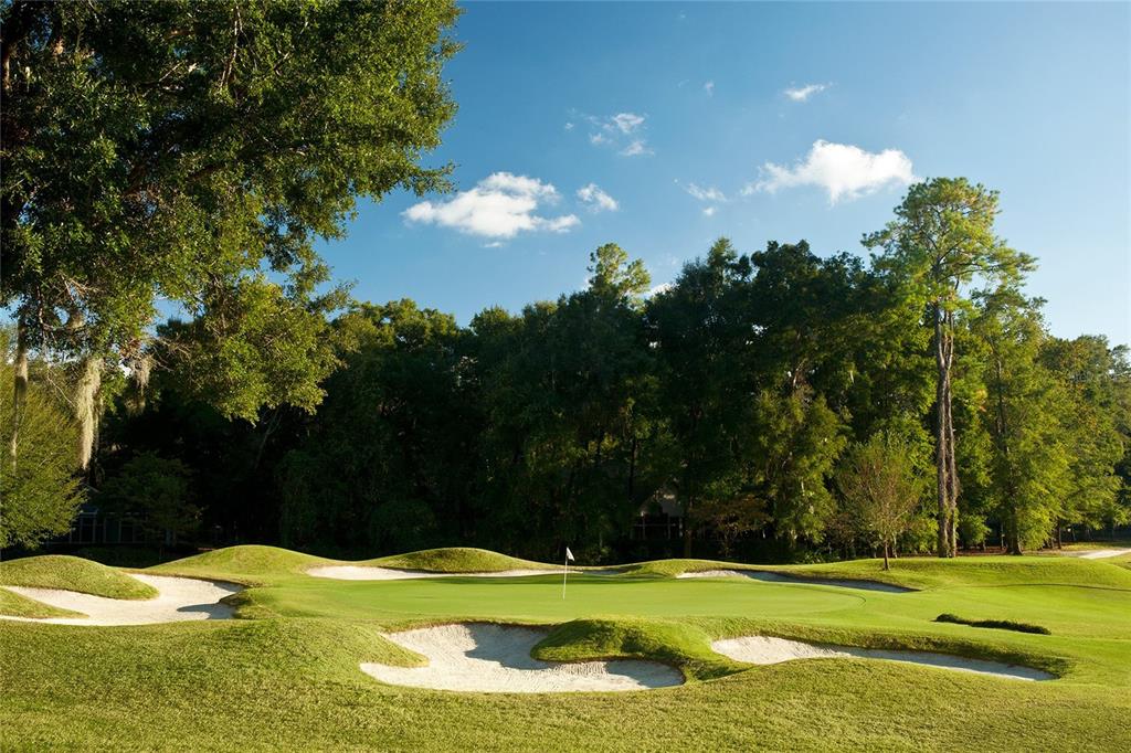 3680 Southwest 86th Street Gainesville, FL 32608 - Photo 95 of 99