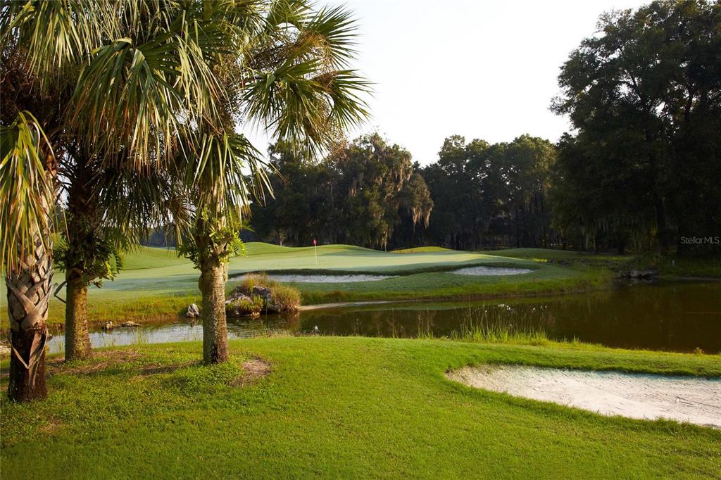 3680 Southwest 86th Street Gainesville, FL 32608 - Photo 96 of 99