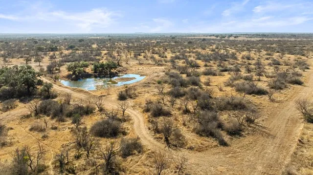 a view of a yard with wooden fence