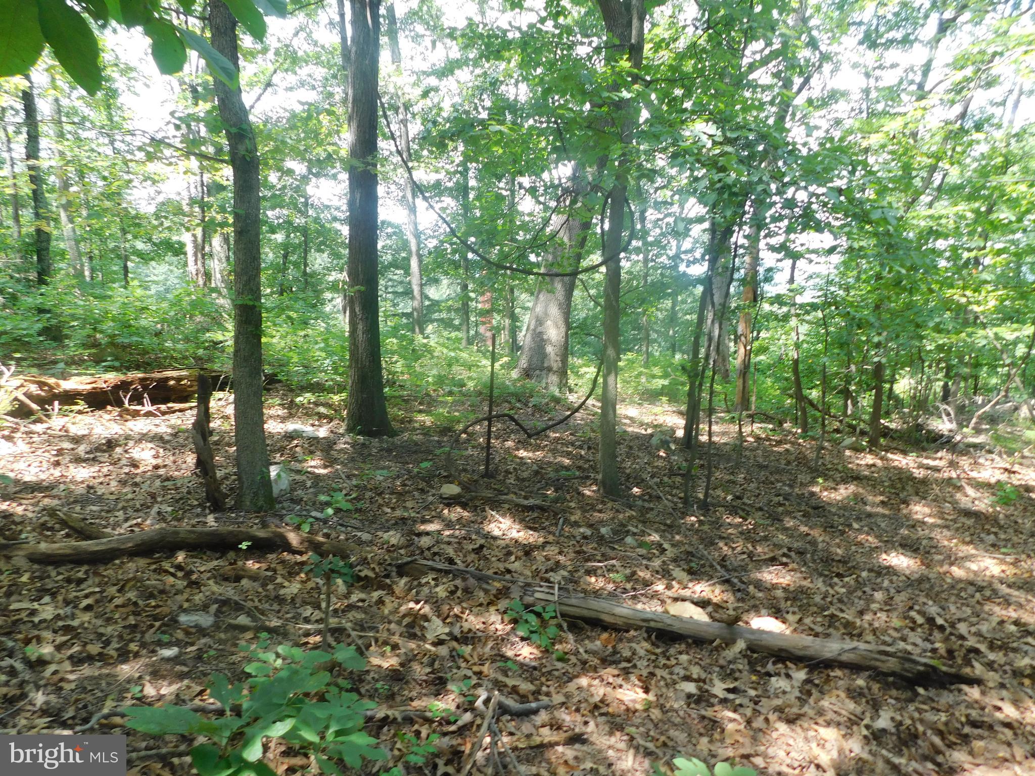 Lot 5 Larkin Ridge Road Front Royal, VA 22630 - Photo 6 of 9