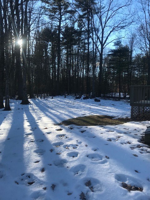7 Loring Drive Rochester, NH 03839 - Photo 18 of 19