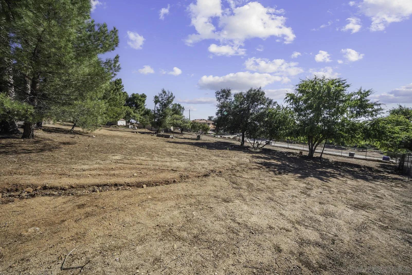 534 Anderson Road Alpine, CA 91901 - Photo 46 of 63 a view of a yard with a tree