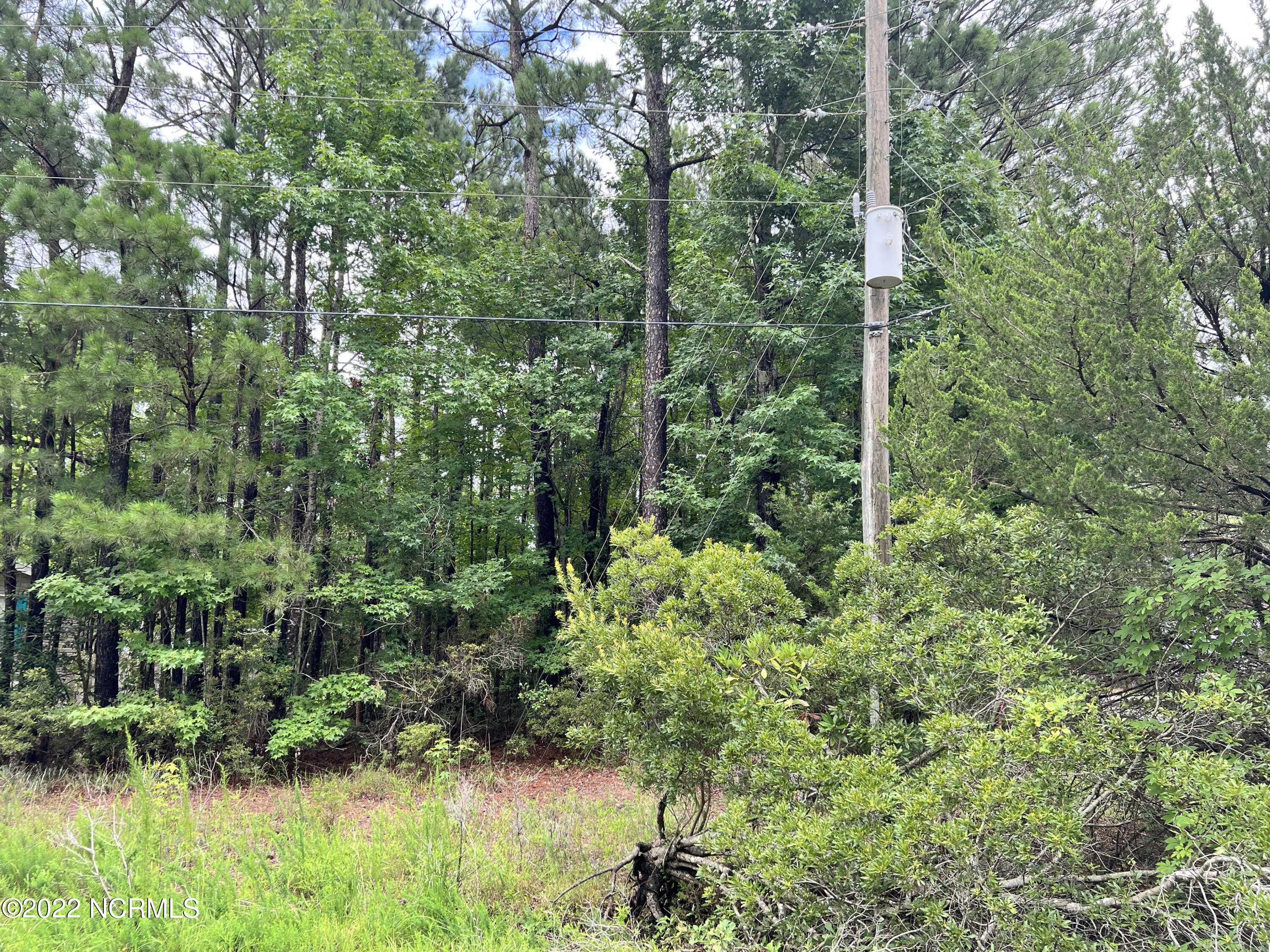 Lot 22 Doe Ridge Hampstead, NC 28443 - Photo 2 of 3 pic 3