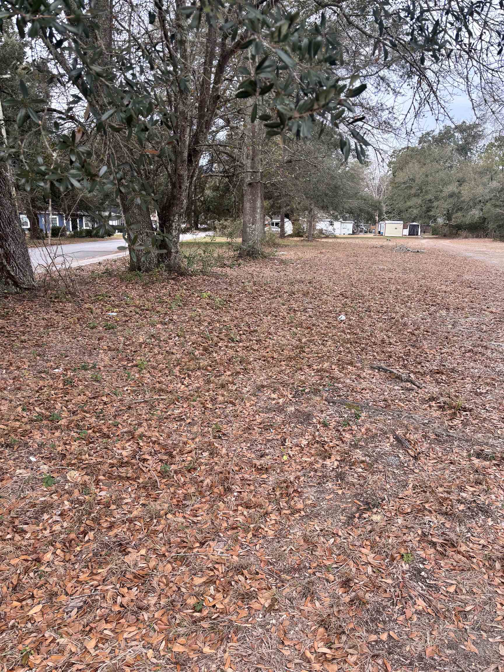 Tbd Racepath Avenue Conway, SC 29527 - Photo 2 of 2 Gallery Image 2