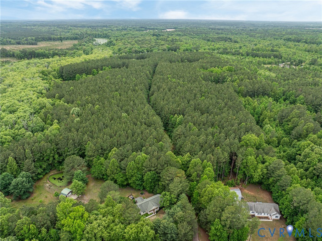 17200 Jolly Road Disputanta, VA 23842 - Photo 20 of 28