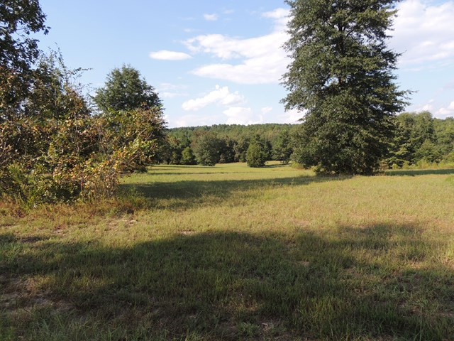 0 Northeast Deer Stand Road Northeast Aiken, SC 29805 - Photo 2 of 8